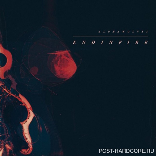 AlphaWolves - End in Fire [single] (2018)