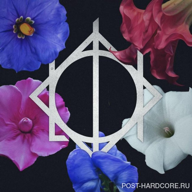 Lion I Am - Hollow (feat. Scott Barnes) [single] (2020)