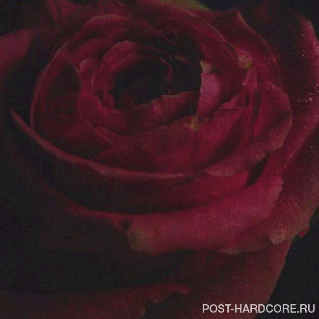 Imminence - Alleviate (Acoustic) [single] (2022)