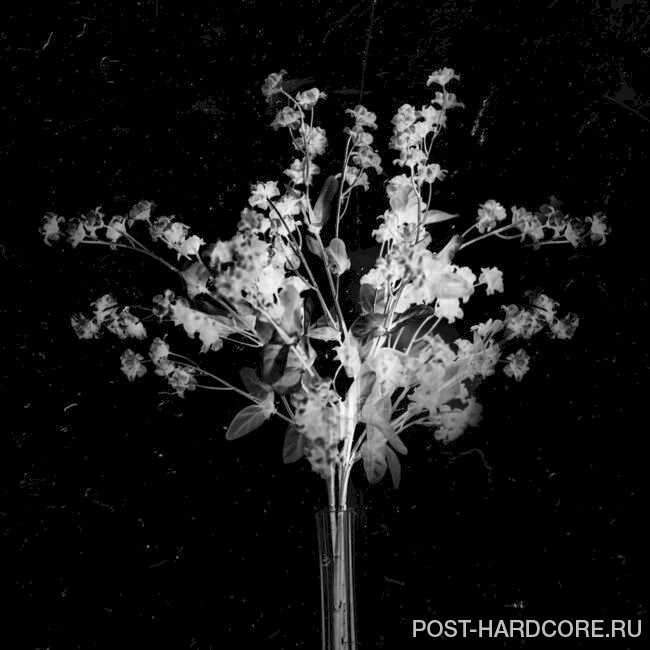If I Were You - Wither [single] (2022)