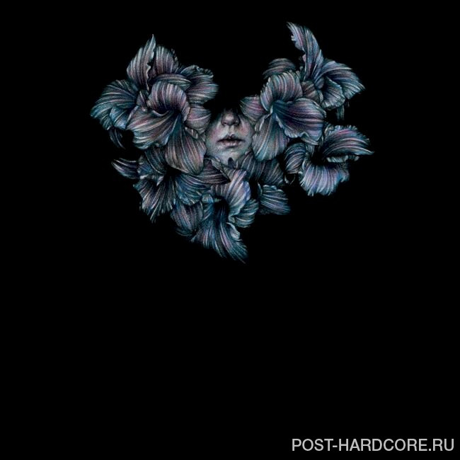 A Lot Like Birds - DIVISI (2017)