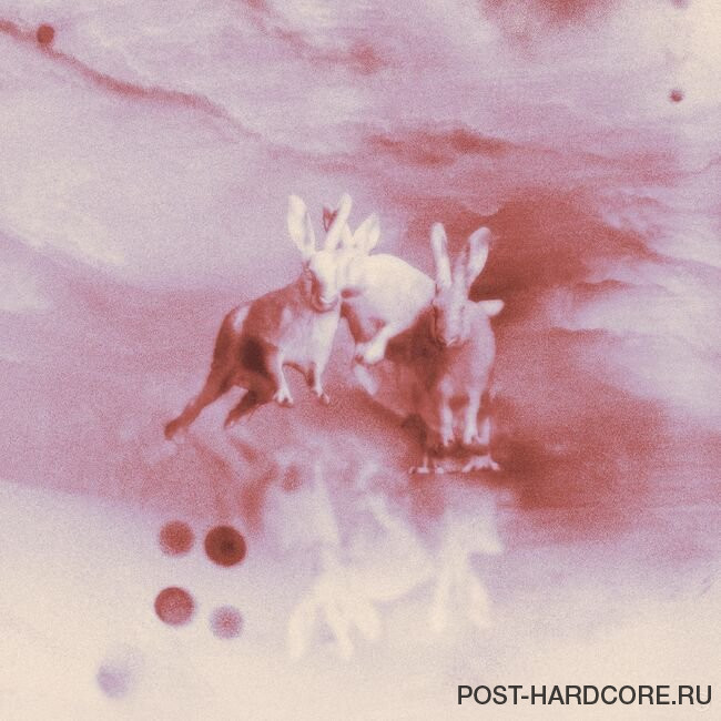 Second Harbour - A Dull Life [single] (2025)