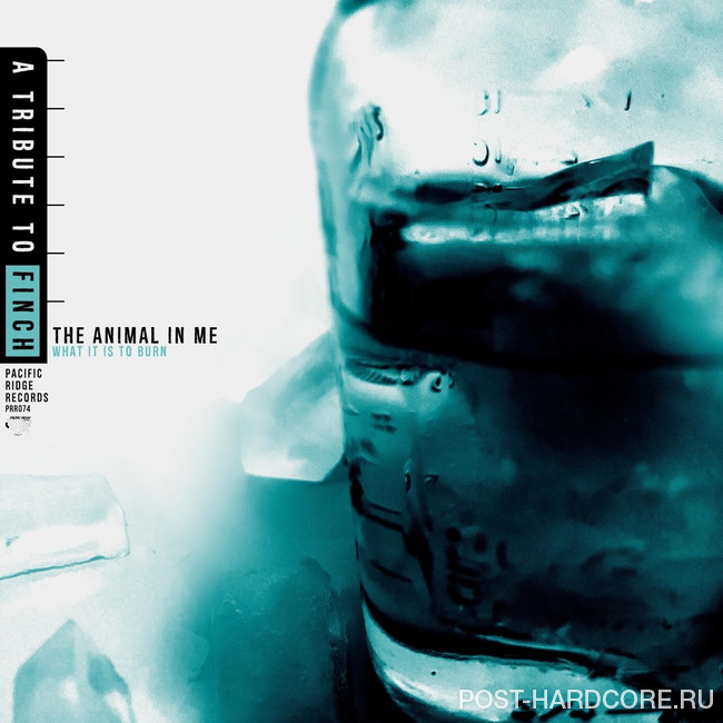 The Animal In Me - What It Is To Burn [single] (2026)